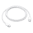 Product image img_01JPXH69C715115VCFEATTFX8Z